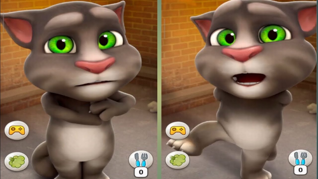 🫧 Ginger Watches Bubble Pop 🐱 - YouTube