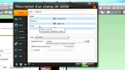 Internationalisez vos applications WINDEV (français, anglais, arabe, ...)