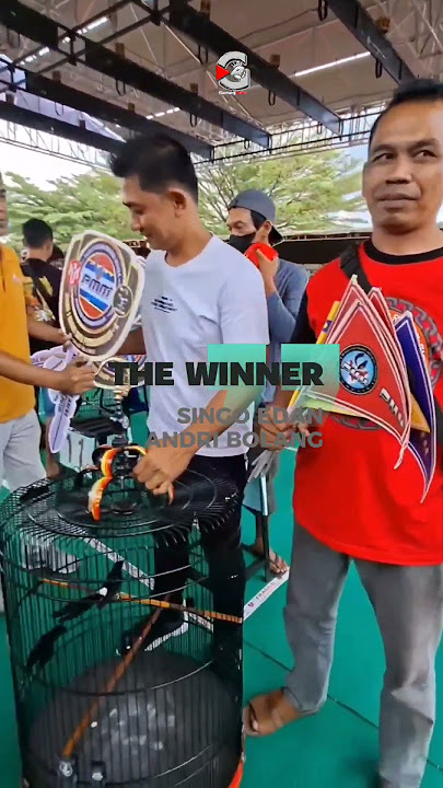Pesona Om Andri Bolang ketika Singo Edan Juara 1 #kicaumania #shortfyp