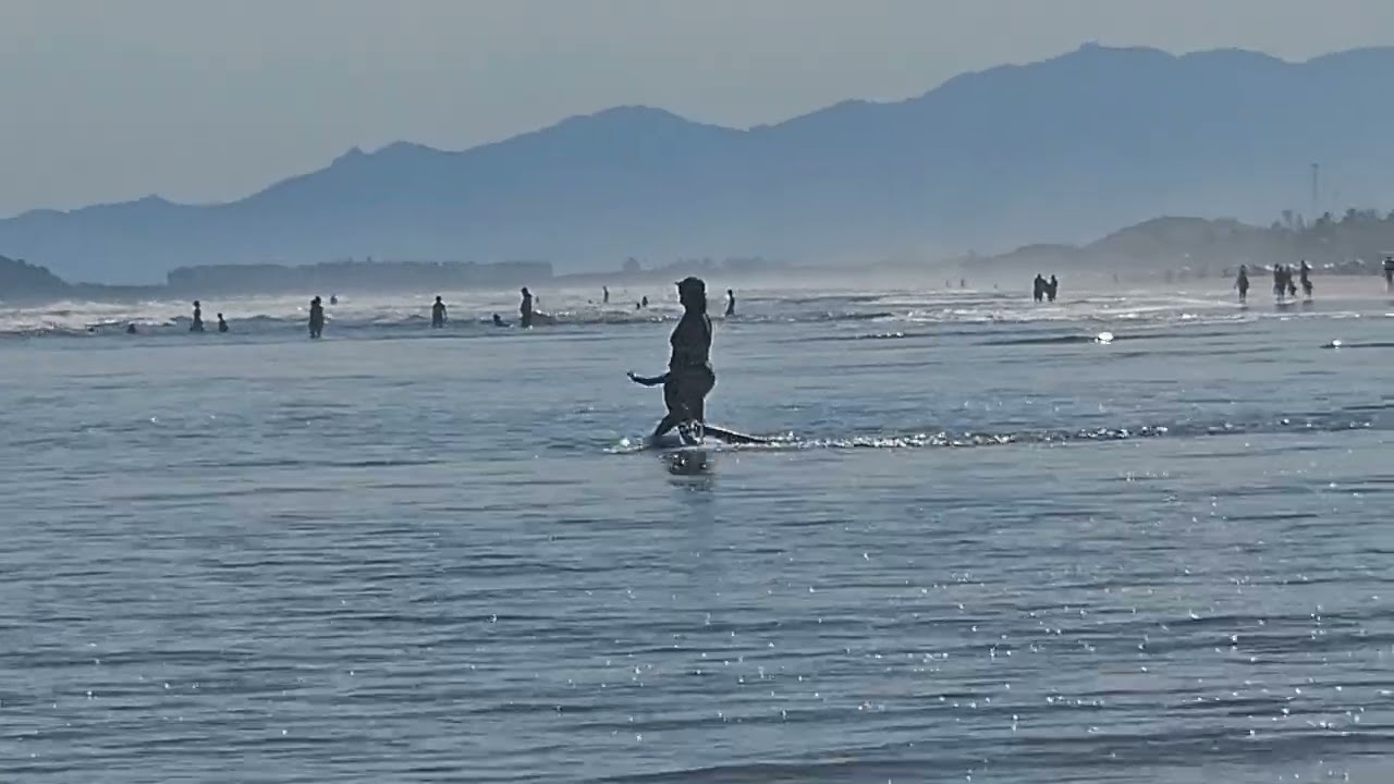 Guaratuba - Bertioga - São Paulo - Brasil - S23 plus 4k 60 fps