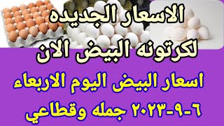 سعر البيض اسعار البيض اليوم الاربعاء 6-9-2023 جمله وقطاعي فى مصر