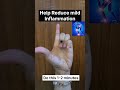 #KneePain #KneePainRelief #Acupressure #FingerAcupoint #NaturalHealing #JointPain #HolisticHealthy..