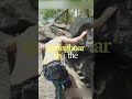 How Giant Trees Were Cut Down Before Modern Equipment