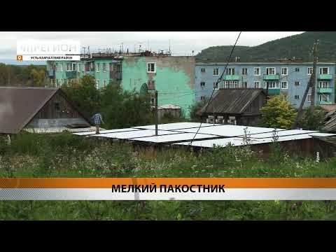 БУЙНОГО РЕВНИВЦА ЗА ДЕБОШ ЗАДЕРЖАЛИ В ПОСЁЛКЕ КЛЮЧИ • НОВОСТИ КАМЧАТКИ