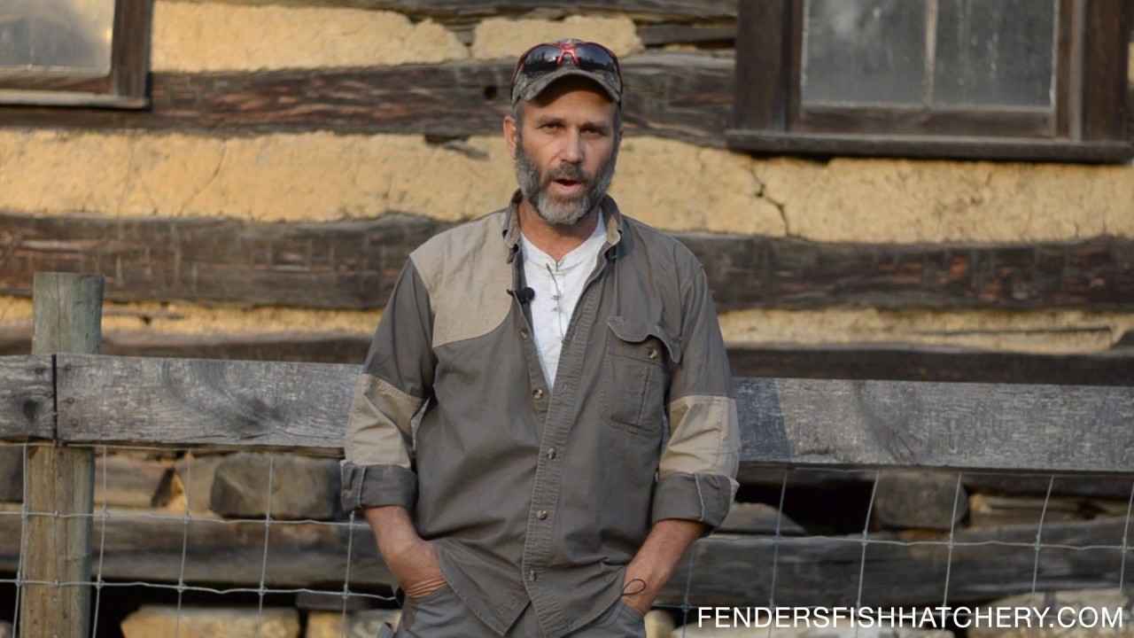 Introduction to Fender's Fish Hatchery YouTube