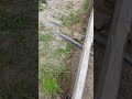 Testing Your Grounding System ⚡ What Inspectors Look For (OESC 2024)