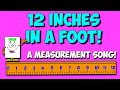 Understanding the Concept of a Foot in Measurement