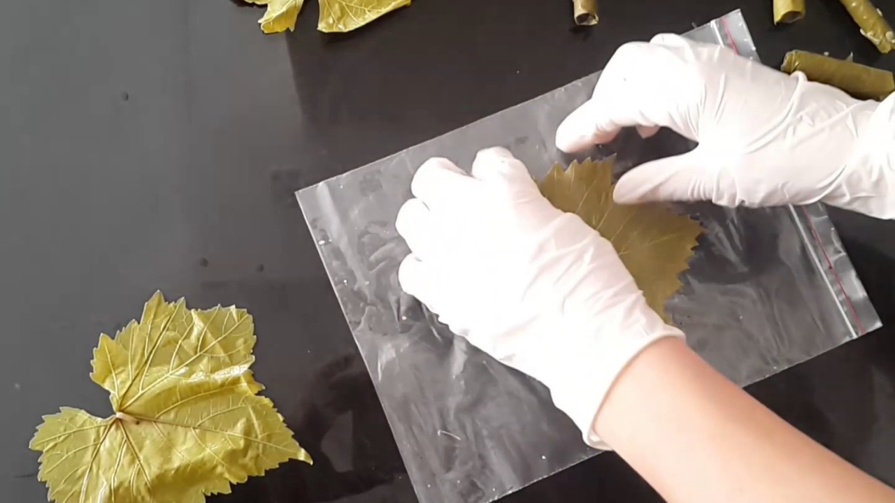 Yaprak Sarması Nasıl Yapılır Videosu Yaprak Sarması Nasıl Yapılır Videosu