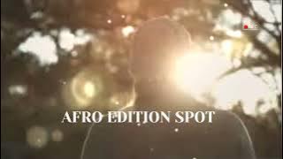 King Touch- English dog