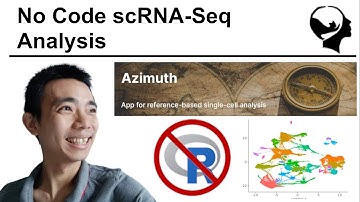 No Code Seurat Analysis | Azimuth First Look