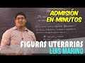 FIGURAS LITERARIAS, en 35 segundos