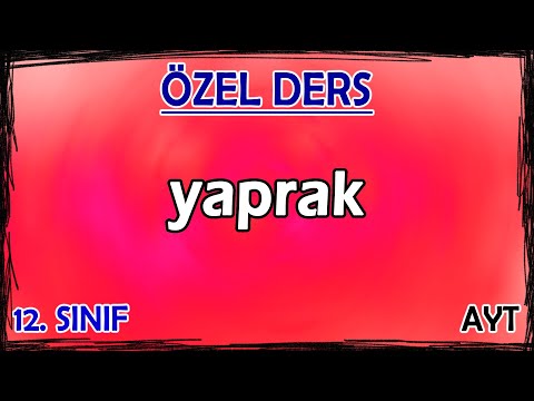 20) Bitkilerin Yapısı - Yaprak - Özel Ders (12. Sınıf)