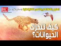كيف تتحرك الحيوانات العلوم باللغة العربية للمرحلة الإبتدائية