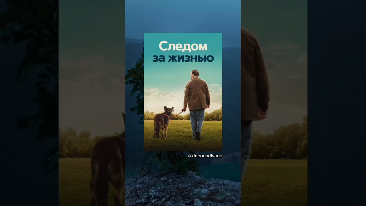🎬Следом за жизнью (драма/комедия, 2019, ⭐7.8)