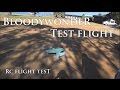RC Plane 3ch Bloody Wonder Test Flight