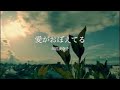 川江美奈子 / 愛がおぼえてる Lyric video