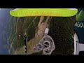 Iota 2 test fly