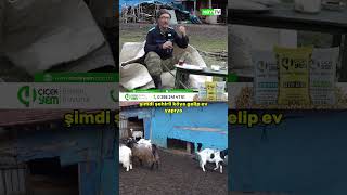 Gerçek Zengin Benim Öy Im Ğal