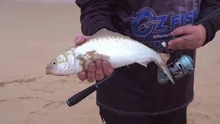 90 Mile beach having a crack for a big toothy Shark.