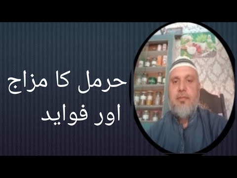 اسپنر یا حرمل کا مزاج استعمال اور فواید
