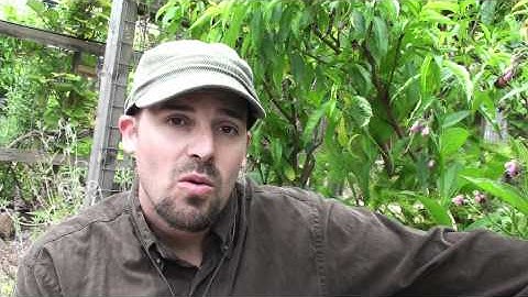 The Permaculture Neighborhood Center - Permaculture Artisans HQ