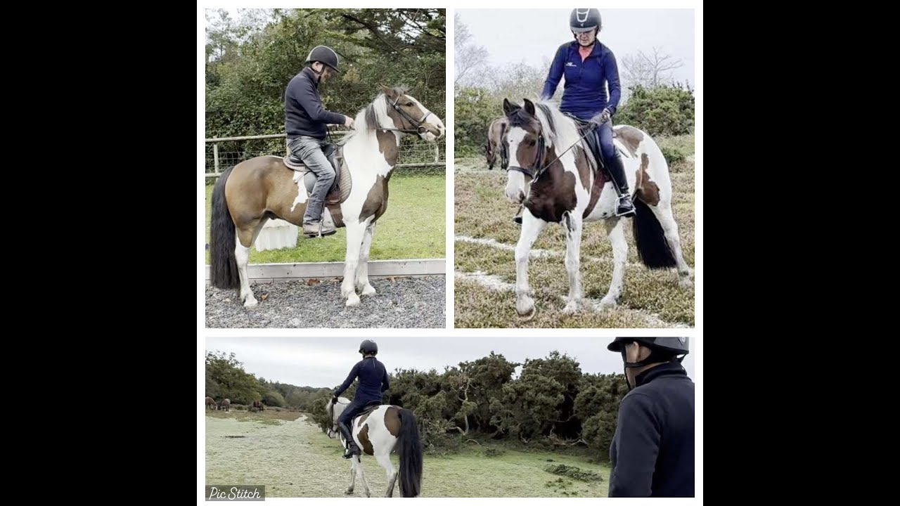 Это не просто урок верховой езды, а «тренировка лошади Майкла Писа».