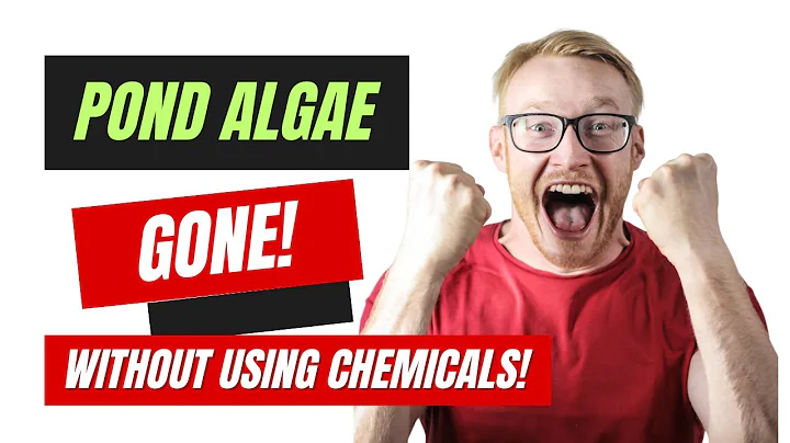 See Pond Algae Disappear - Without Chemicals!