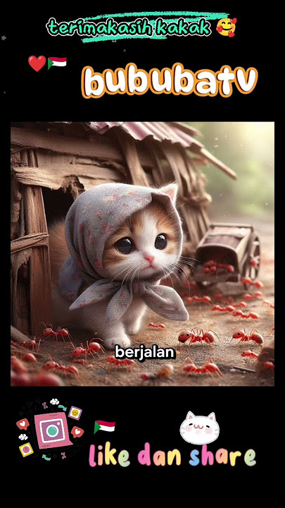 gawat 😭❤️ #cat #ilovepalestina #kucinglucu #imut