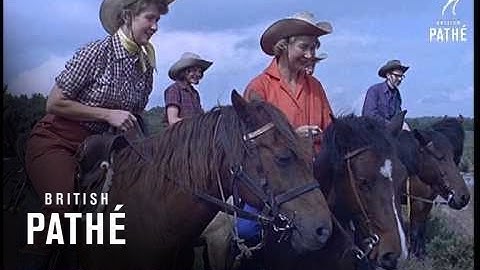 Hampshire Hombres (1963)