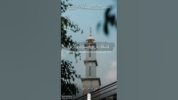 كل من عليها فان | سورة الرحمن | ياسر الدوسري #قرآن #اكسبلور #ذلك_الدين_القيم