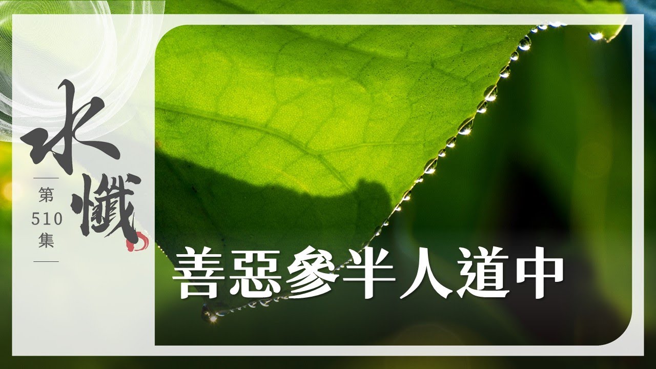 【法譬如水】 善惡參半人道中 - 第510集｜水懺｜慈悲三昧水懺｜ 20260202