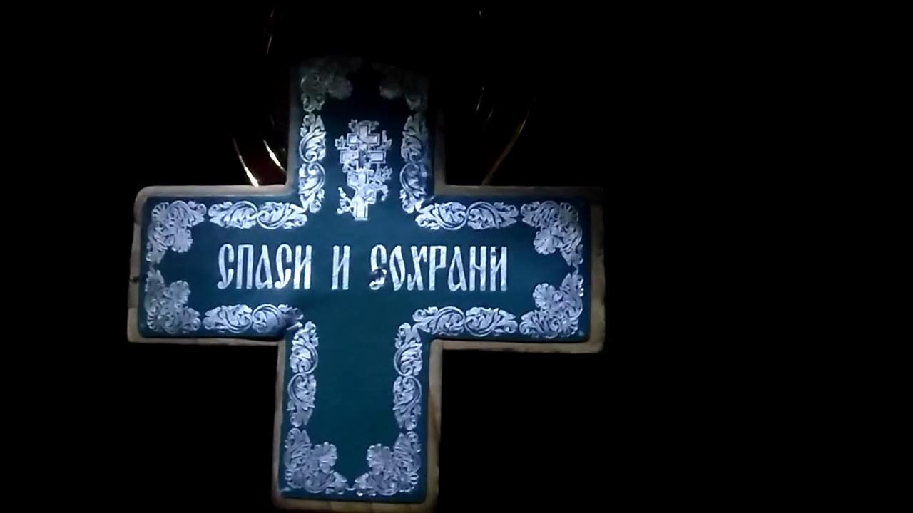 Русский проект спаси и сохрани