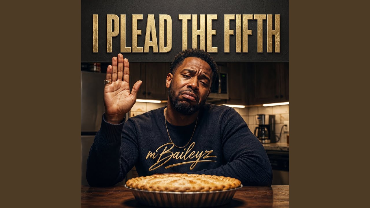 I PLEAD THE FIFTH cover