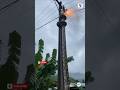 What Happens When a Giant Snake Hits an Electric Wire #shorts #animals #shocking