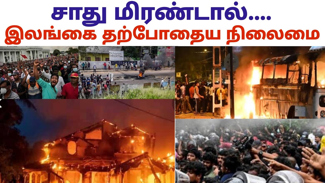 Sri Lanka Breaking News Today In Tamil Live Sri Lanka Latest News