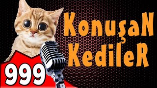 Komik Kedi Videoları - Konuşan Kediler 999