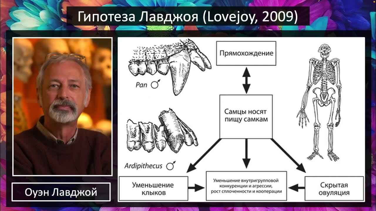 Гипотезы 20-21 веков.