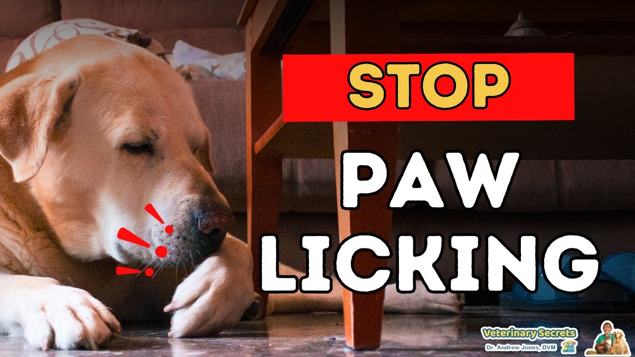 dog licking deterrent