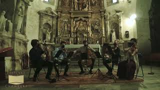W.A. Mozart String Quintet K.406/516b no. 2 in C minor - I. Allegro