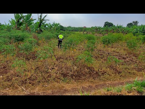Plot for sale in Nkondo, Rwinkwavu, Kayonza
