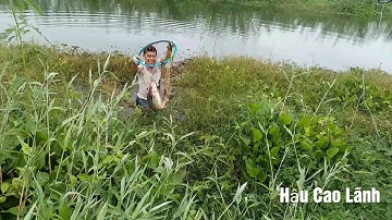 Câu Cá Tra rừng Tràm Chim, cám ĐH1 bão cá Tra, Tập 25 - Hậu Cao Lãnh