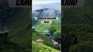 Lost in the Mist 🌿 | Cameron Highlands Cinematic #short