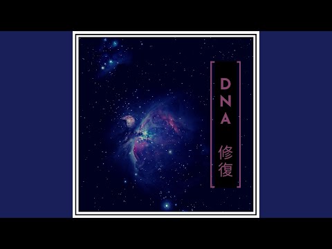 森のこだま adlı videoyu YouTube'da izle