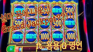 꿈에 그리던 그랜드?? 새로운 슬롯 머신🎰 ft.용용 G 명언!