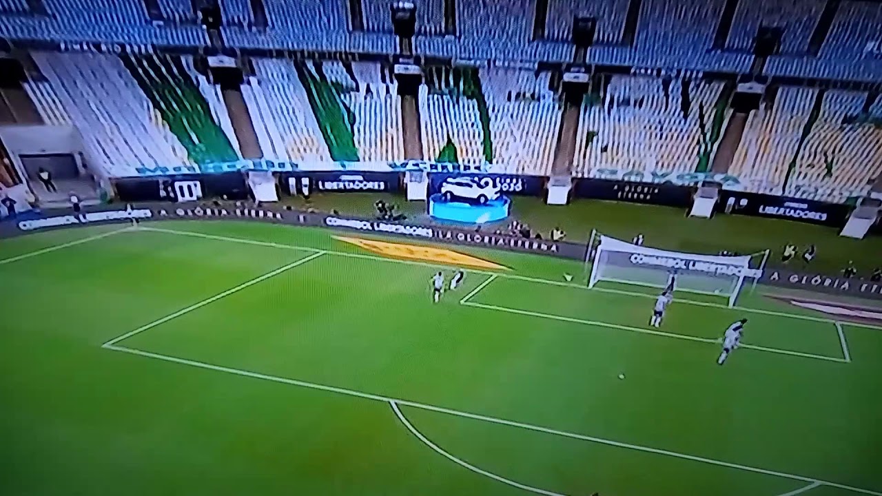 serieA #gol #palmeiras #campeao #santos #rebaixamento #futebol #premi