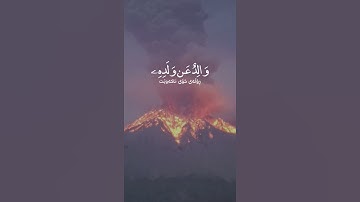 يا ايها الناس اتقوا ربكم بصوت ياسر الدوسري تلاوة بخشوع مؤثر جدأ