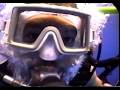 Diving Yucab Reef Cozumel MX 1998