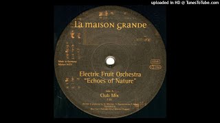 Electric Fruit Orchestra - Echoes Of Nature (Club Mix) .1997 Resimi