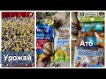 🔥ПОКУПКИ АТБ🔥МИКРОГРИН 🌿КАК ВЫБРАТЬ МАЙОНЕЗ и ПЕЛЬМЕНИ  🥟 ?ЛУЧШИЙ ПРОБИОТИК!!