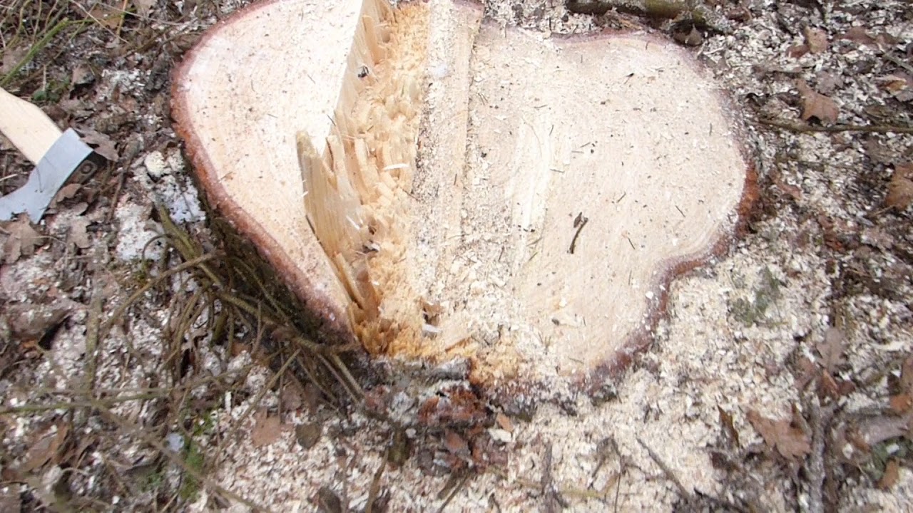Premium OREGON Schnittschutzhandschuh Fiordland